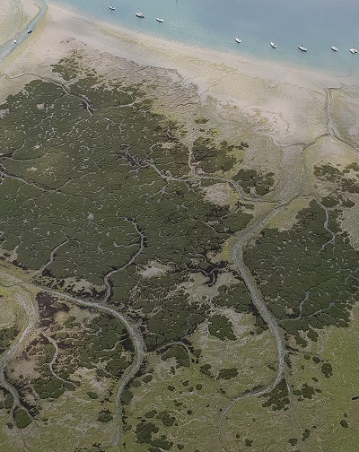 Saltmarsh at Northney